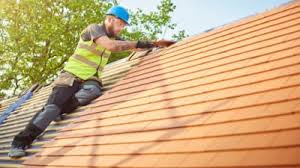 Best Roof Insulation Installation  in Tonto Basin, AZ