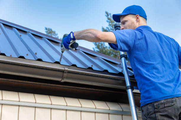 Best Roof Leak Repair  in Tonto Basin, AZ