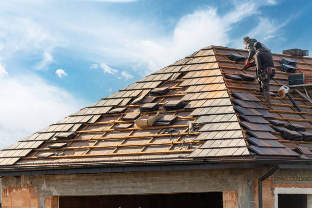 Best Metal Roofing Installation  in Tonto Basin, AZ