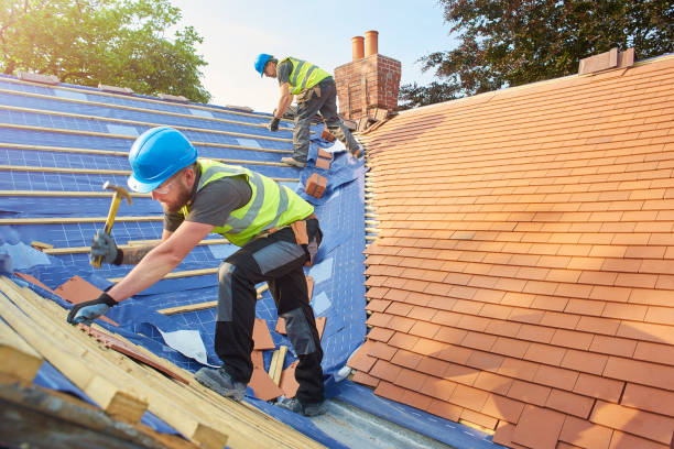 Best Solar Panel Roofing Installation  in Tonto Basin, AZ